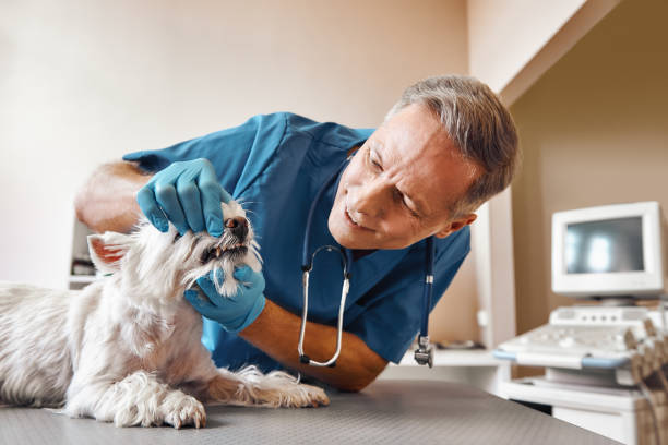 Best Emergency Tooth Extraction  in Marion Oaks, FL